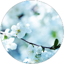 Home ChIJxf0lA4qG2GoRRRKllcETBa0 577cdf0edc2639f7764346bf60cad05b - Home